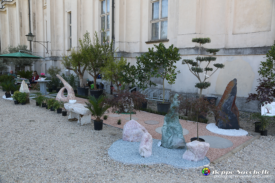 VBS_2366 - FloReal 2021 alla Palazzina di Caccia di Stupinigi.jpg